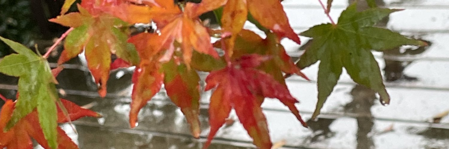 eebe1211's profile banner image