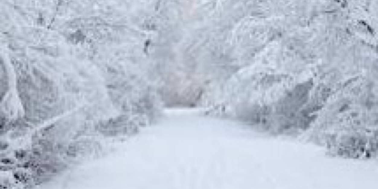 ritchie_ottawa's profile banner image