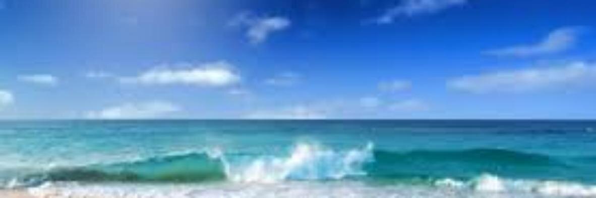 clarkpari's profile banner image