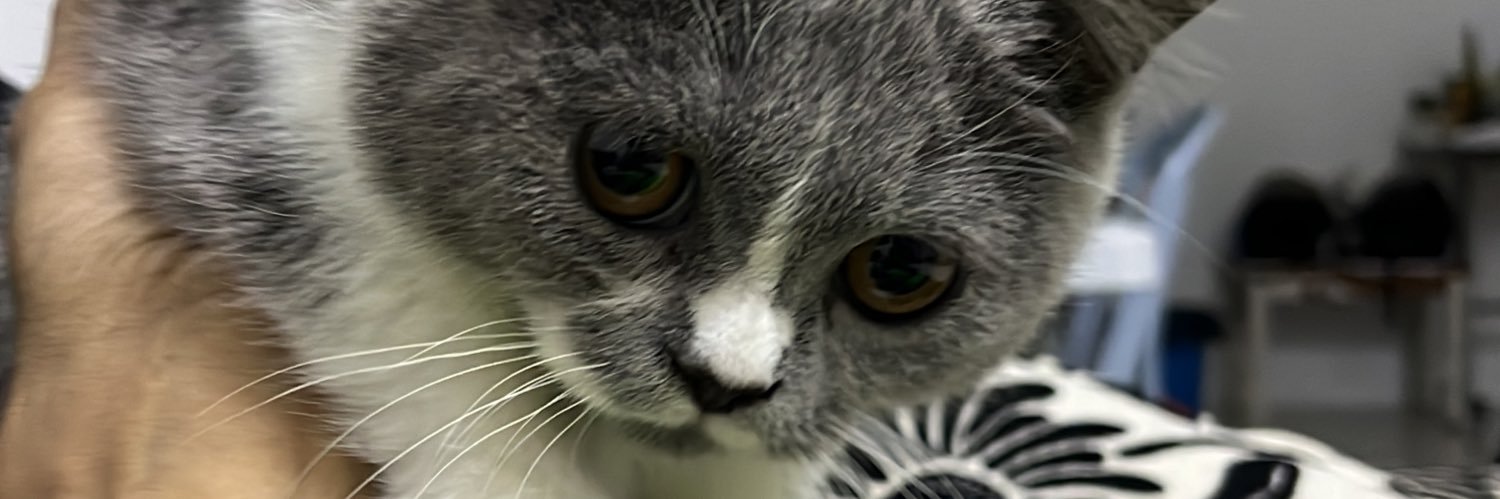 edwan09's profile banner image