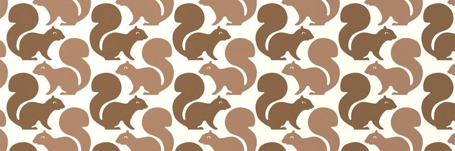 PolitiSquirrel banner