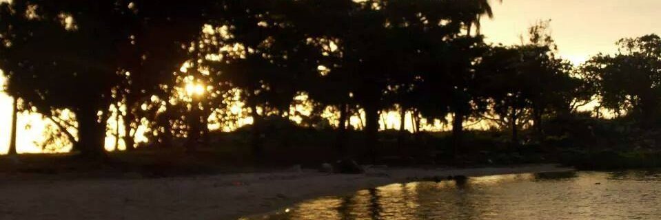 ChisChis87's profile banner image