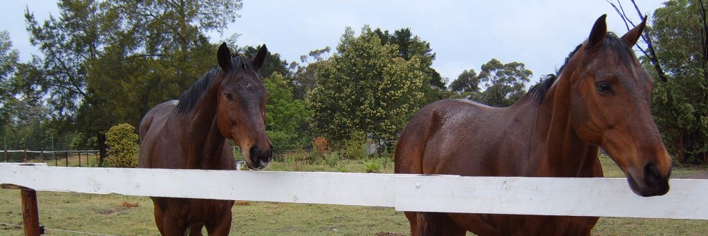 wanbas_ann's profile banner image