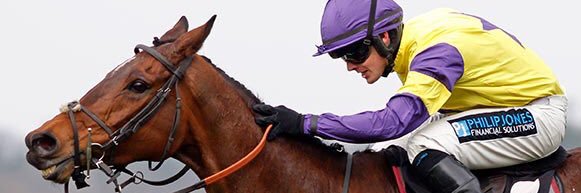 𝐊𝐞𝐫𝐫𝐲 𝐋𝐞𝐞 banner