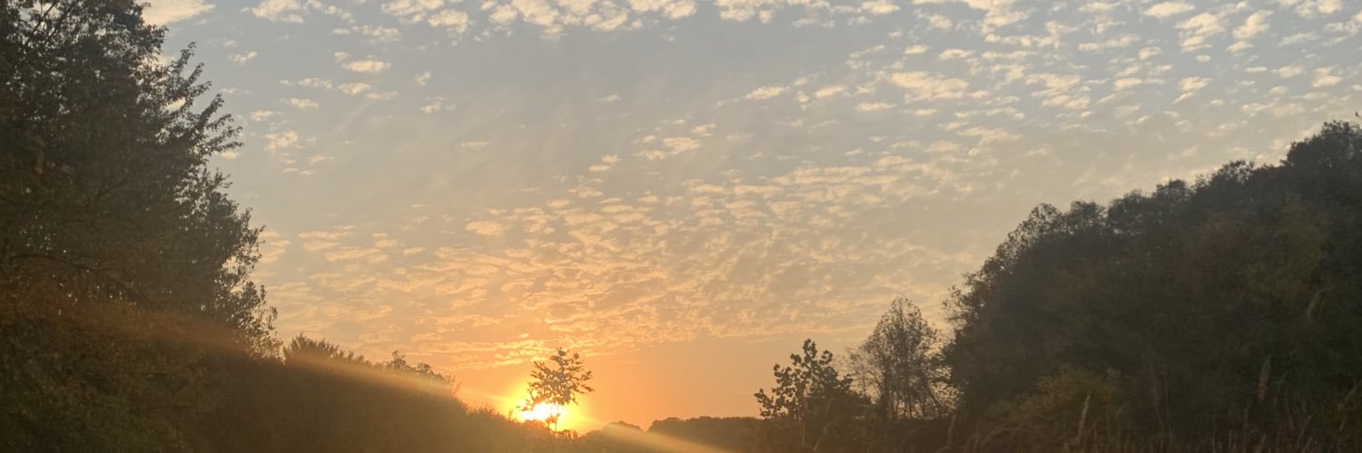 madyfreakingA's profile banner image
