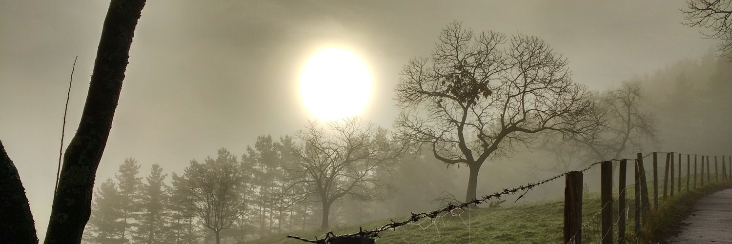 ToniDiazM's profile banner image