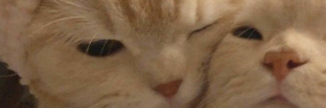 AylaFreeberg's profile banner image