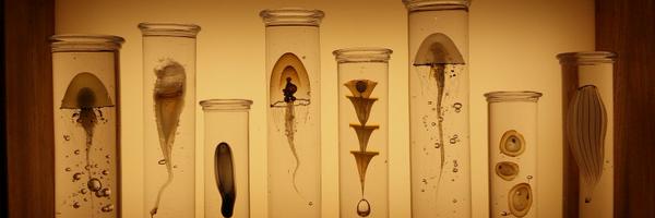 SueBuckmaster Profile Banner