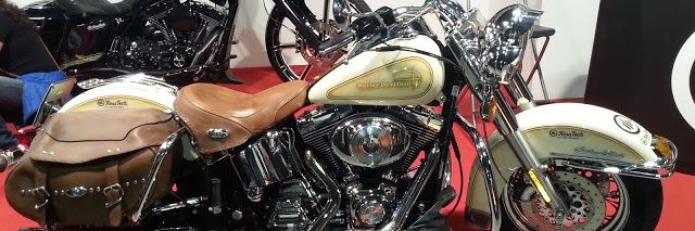 walter scotti banner