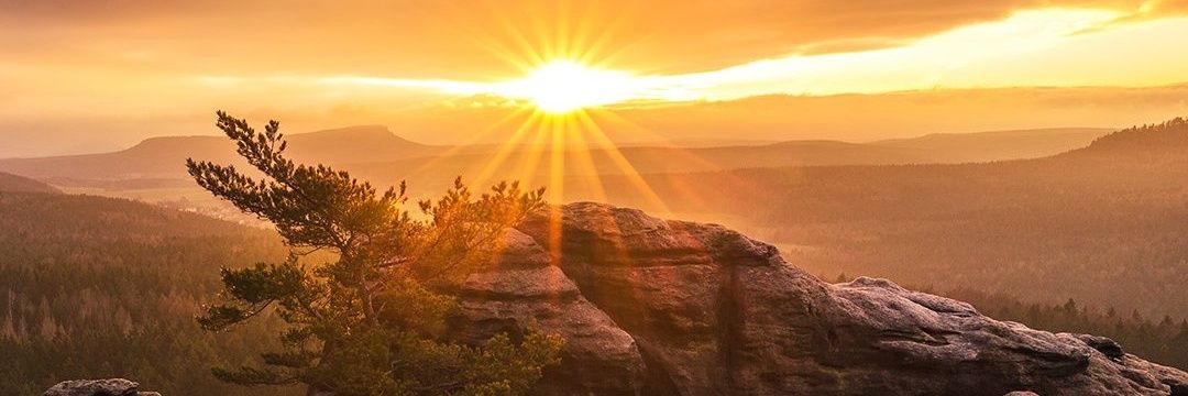 Klar ist mein Name Falk ⚒🖤🤍❤⚒ banner