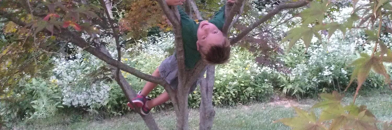 Diana Christy banner