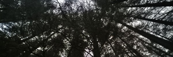 wickedoc Profile Banner