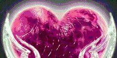 MIRNASM18's profile banner image