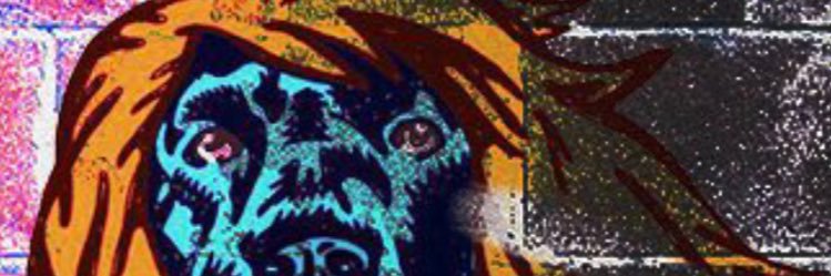 MartinFloCar's profile banner image