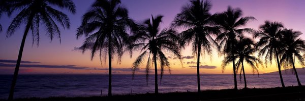 _mililuv Profile Banner