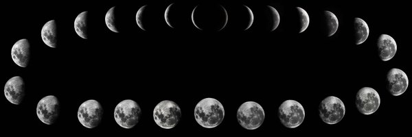 ariel_mo0n Profile Banner