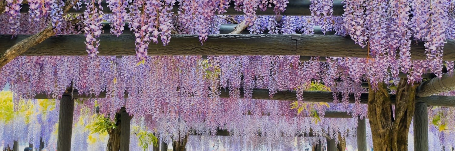 Yucke_o's profile banner image