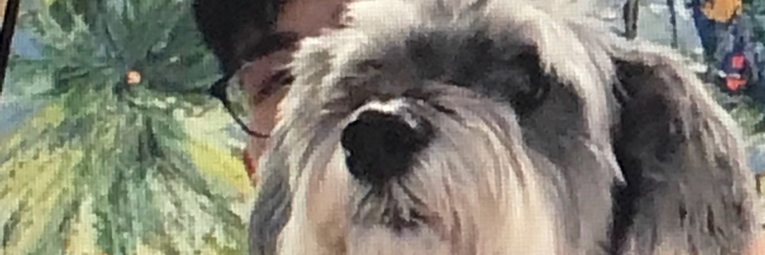 jamesteoh12's profile banner image