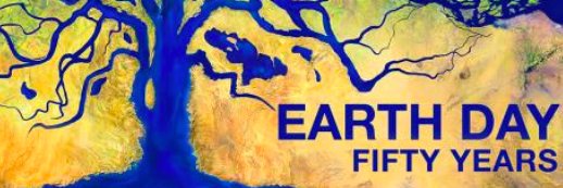 Lauren Wenzel banner