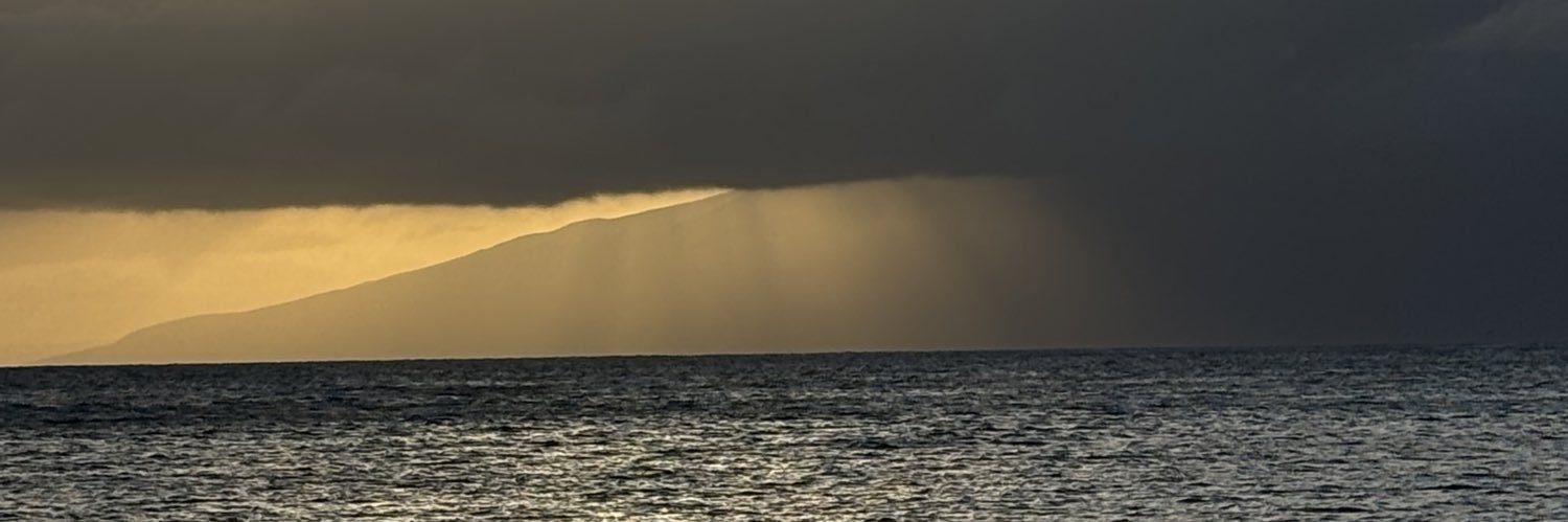 ty_bridges's profile banner image