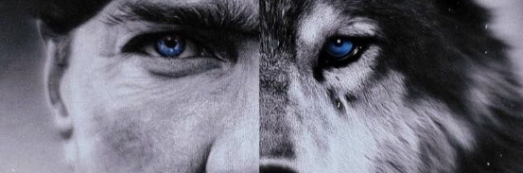 serbayakdas's profile banner image