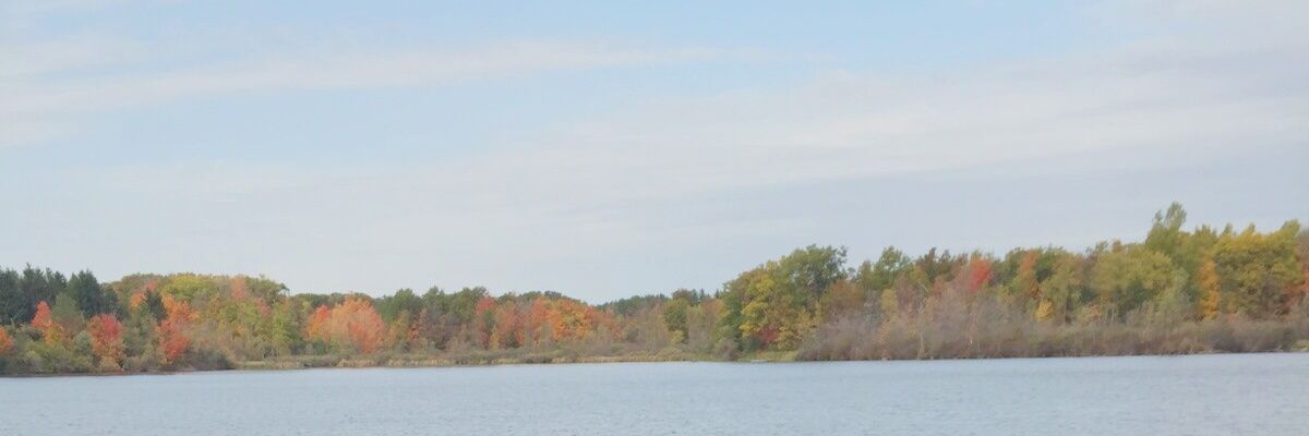 Clyde_Dsouza98's profile banner image