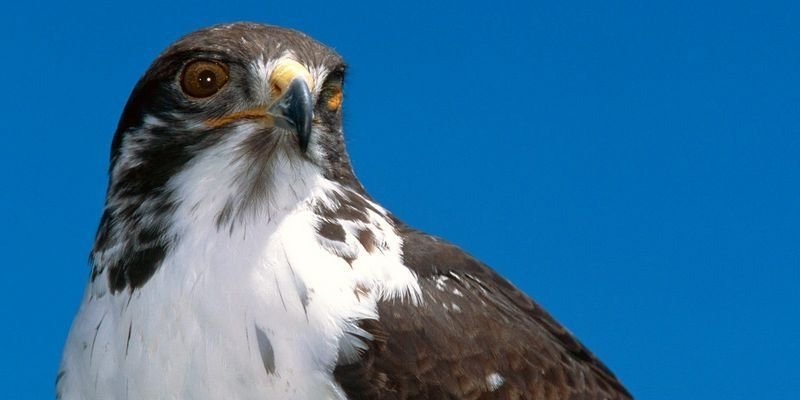 ksa3n's profile banner image