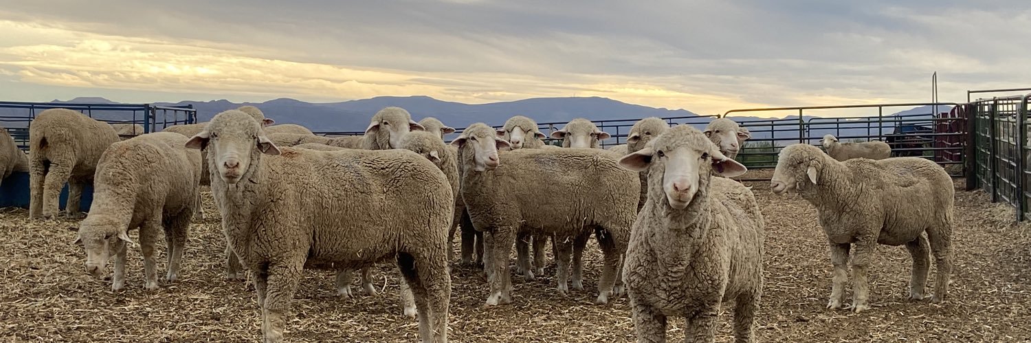 wyowool's profile banner image