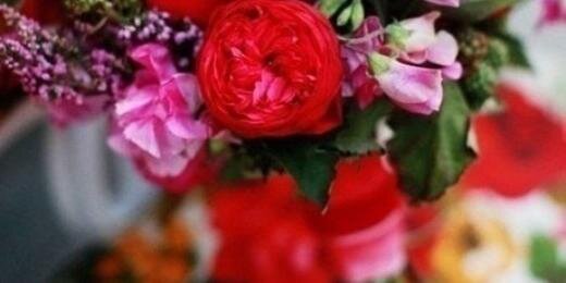 Anna37596882's profile banner image