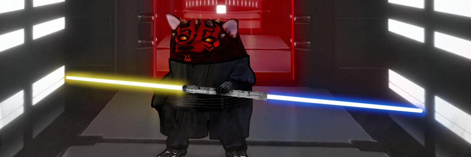 seggl's profile banner image
