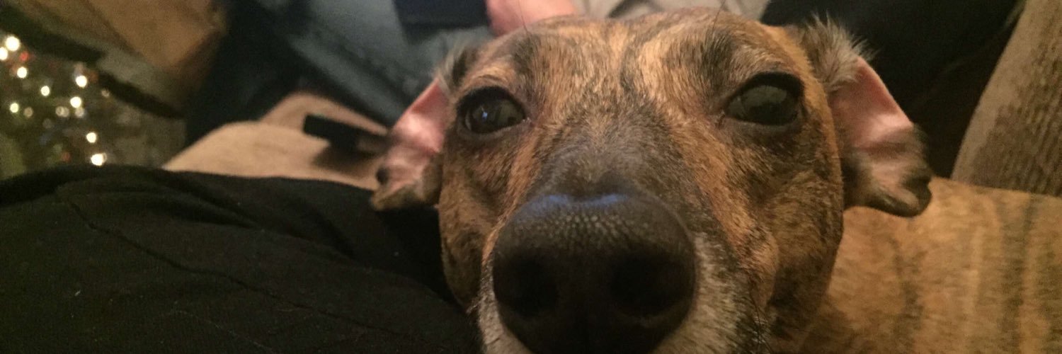 The Gin(less) Monster banner