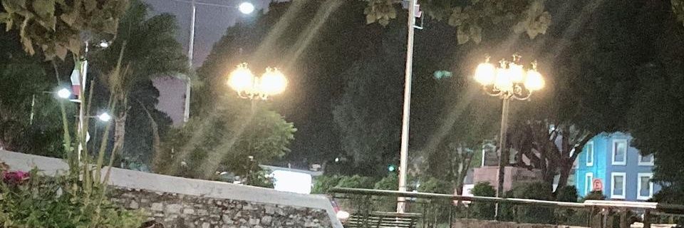 Cinthya J. Roman banner