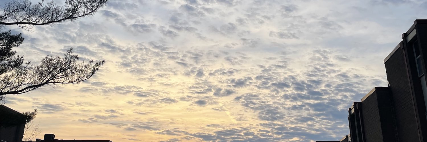 amoranval's profile banner image