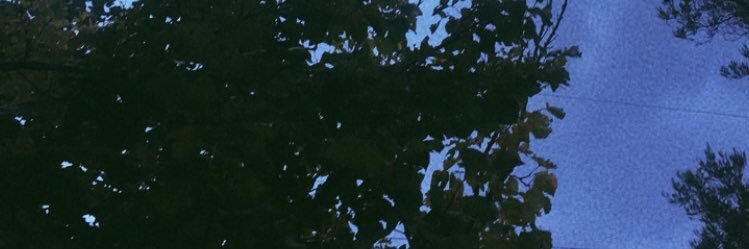 m_zo456's profile banner image