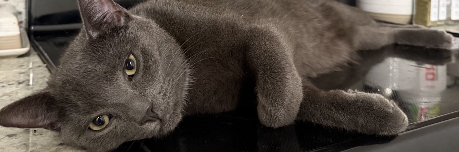 krocheee's profile banner image