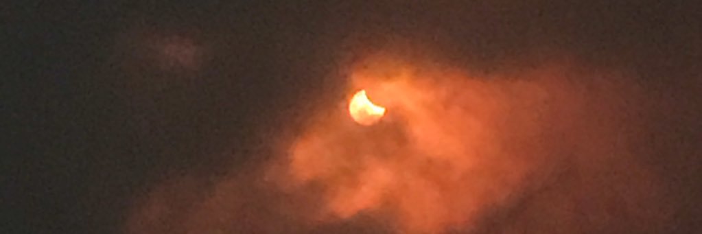 🇺🇸Dustin Brinkman🌻 banner