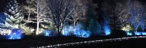 NegativeCole's profile banner image