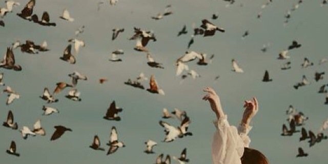 الكوثر banner