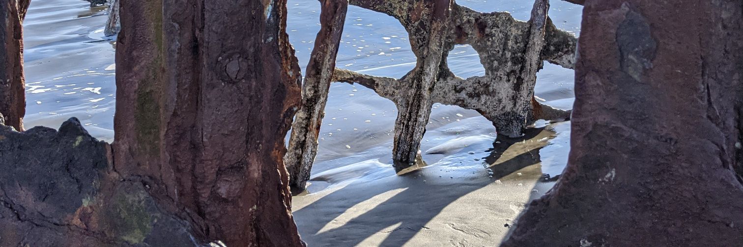 Kuta Marler Book Wyrm banner