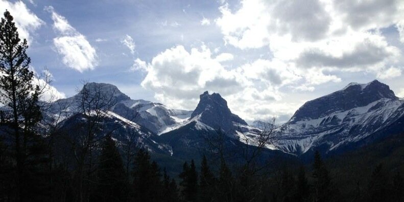 Alberta Science (sometimes political) Addict banner