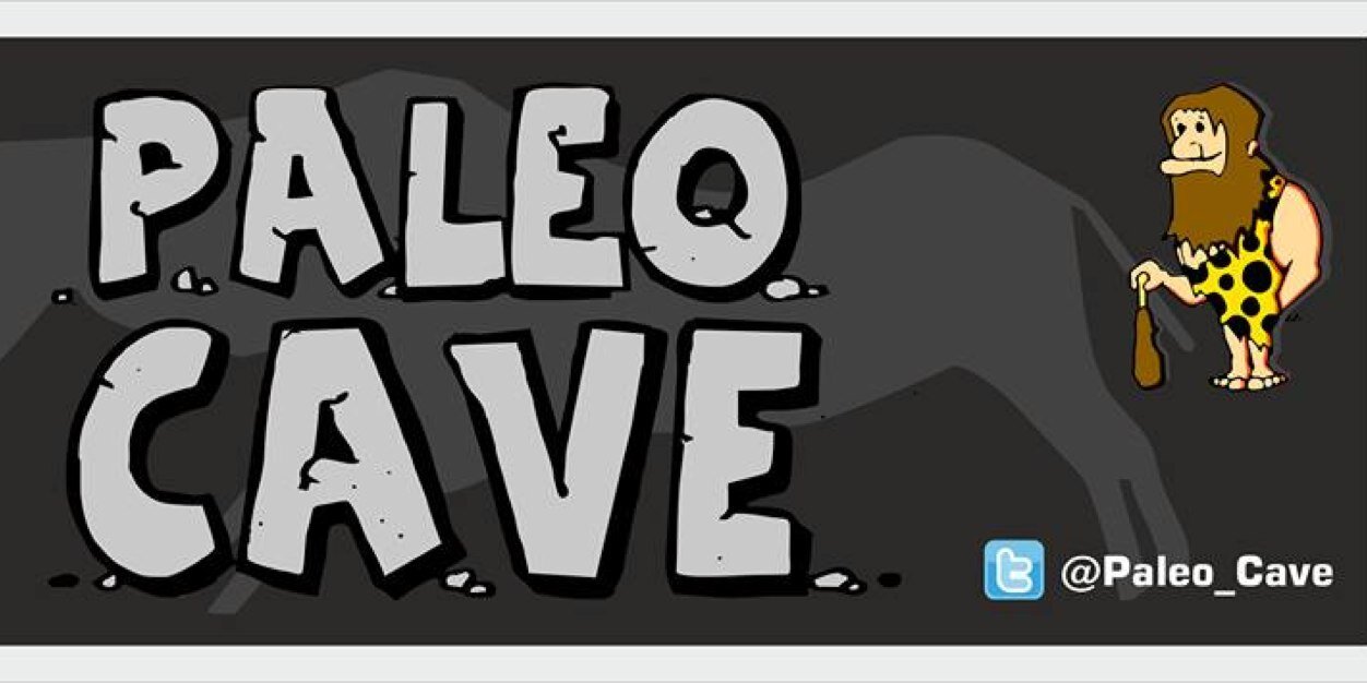 paleocave's profile banner image