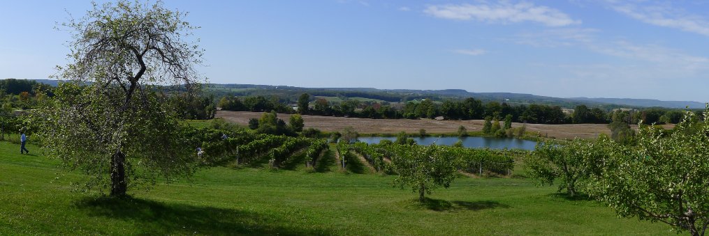 FourWheel_Farm's profile banner image