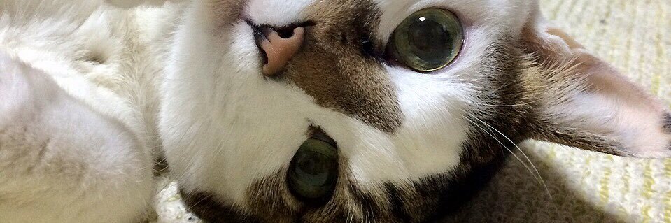 manymize's profile banner image