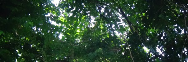 tommytrxnh Profile Banner