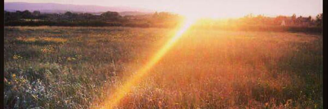 WasanAltikriti's profile banner image