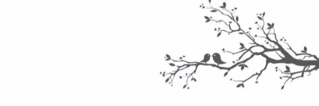 00asma11's profile banner image