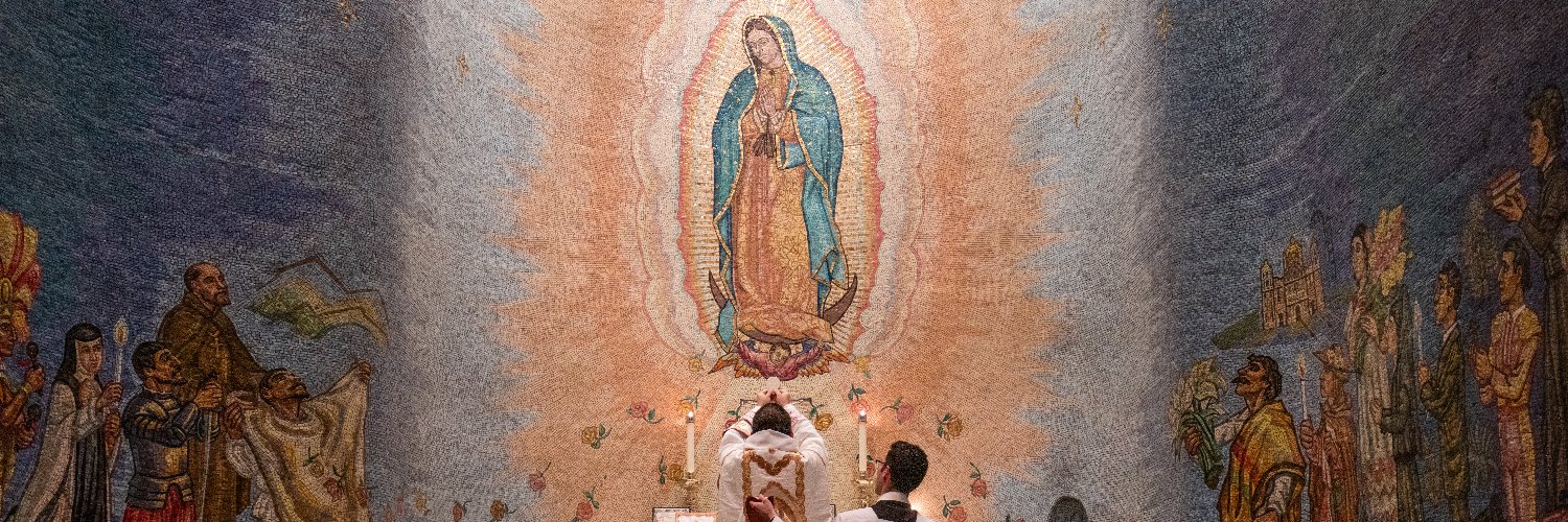 Fr Lawrence Lew, O.P.'s banner