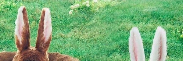 まいたけ©️ banner
