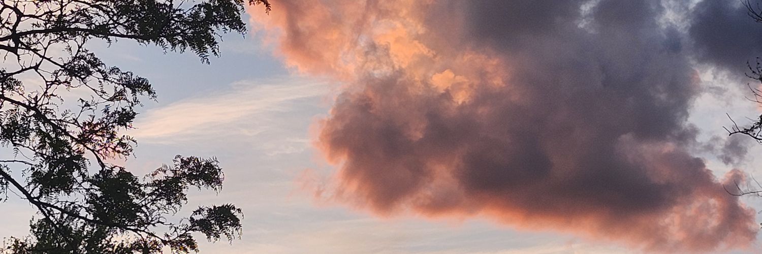 parksgreenguy's profile banner image