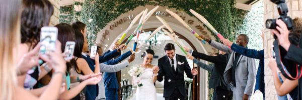 David_Wiese Profile Banner